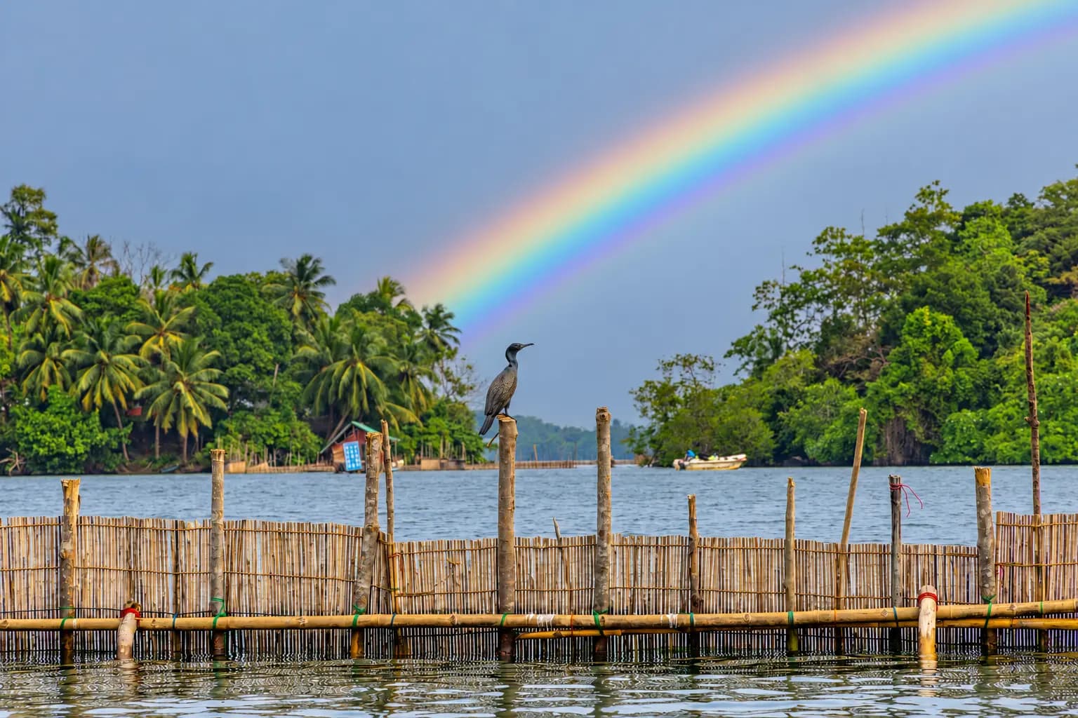 Bentota Day Tour