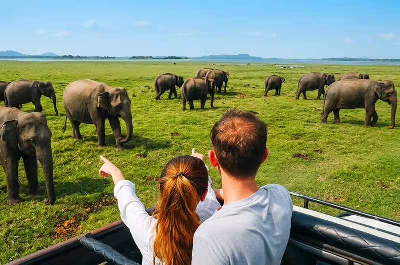 Minneriya, Sri Lanka