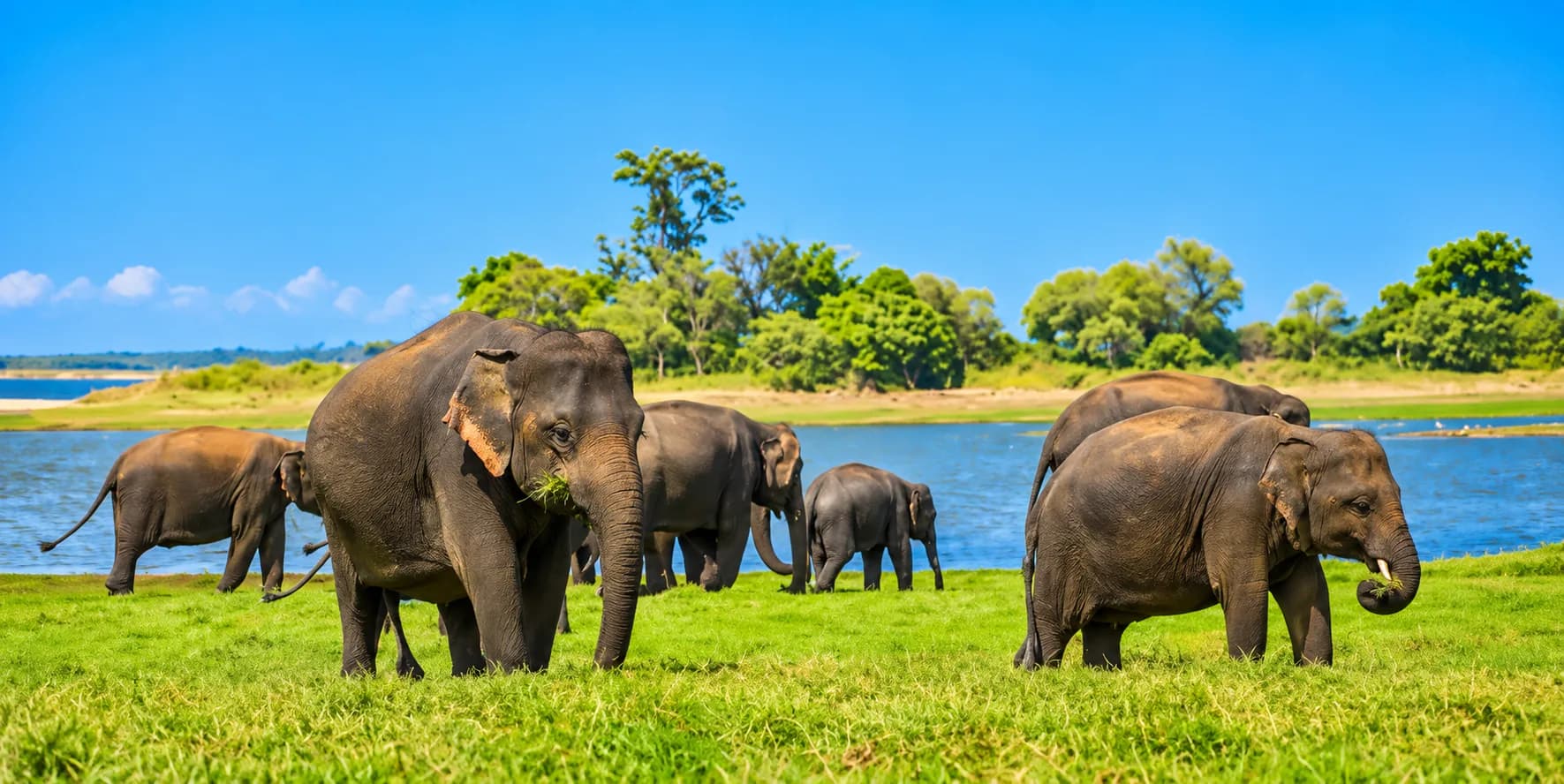 Wilpattu National Park, Sri Lanka
