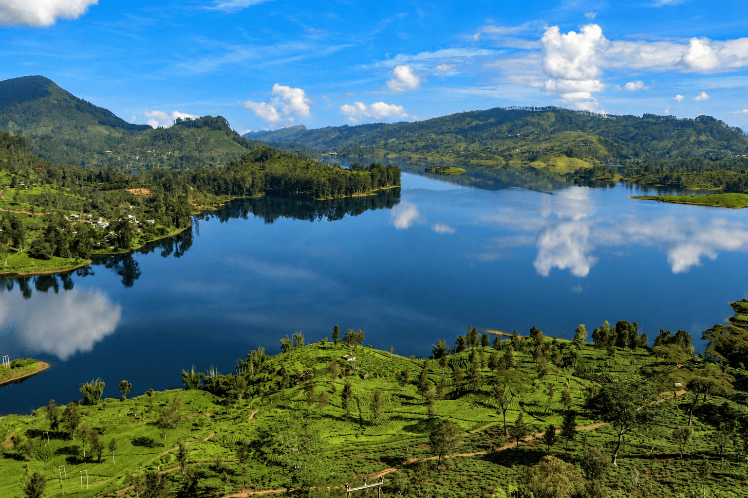 See the Best of Sri Lanka